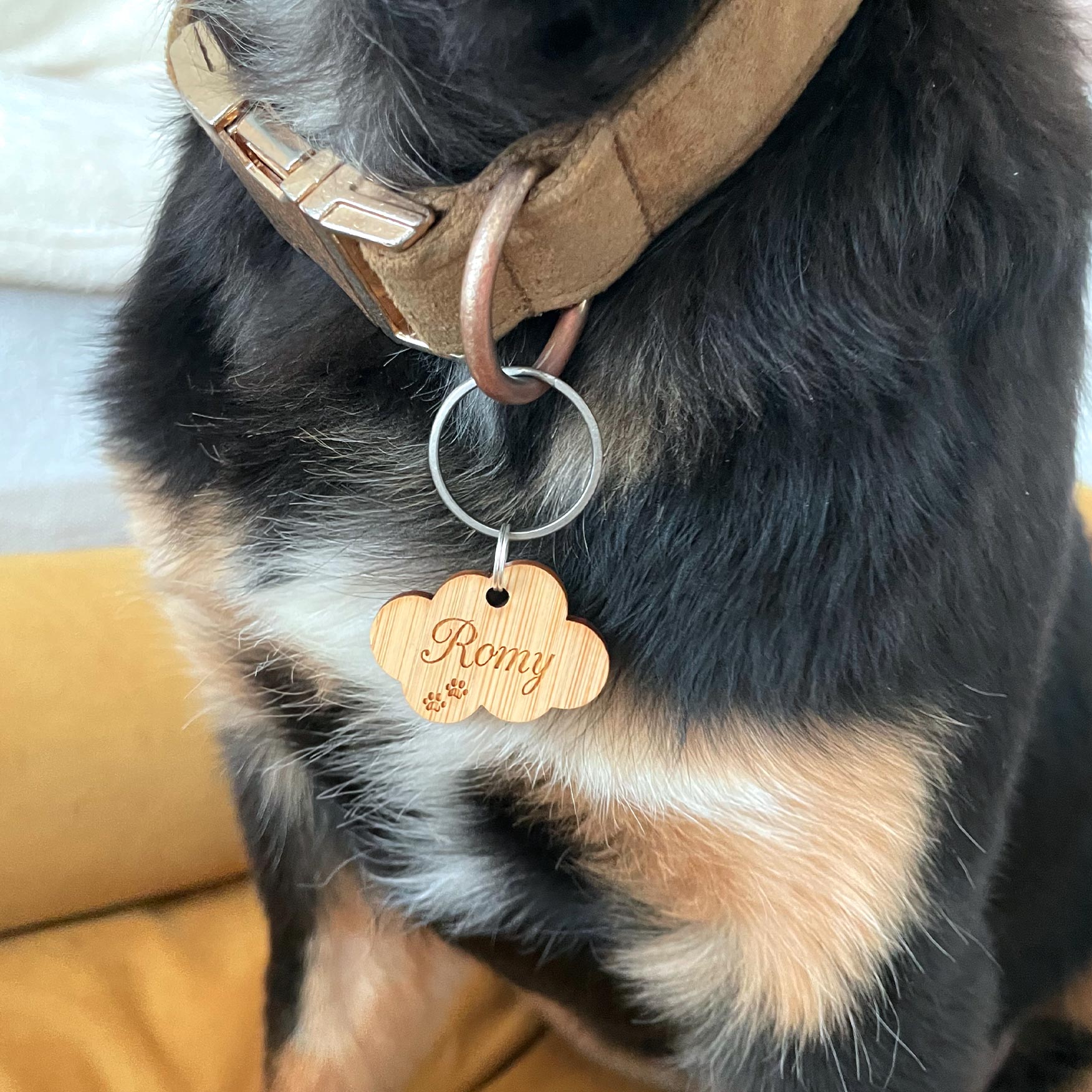 Médaille chien personnalisée bois nuage - Taille M | LovelyTruffe