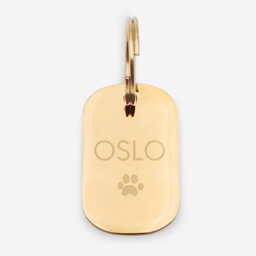 Médaille pour chien 'Cosmic Dog'  BANDIT – Mouflette – Sélection bien  sentie